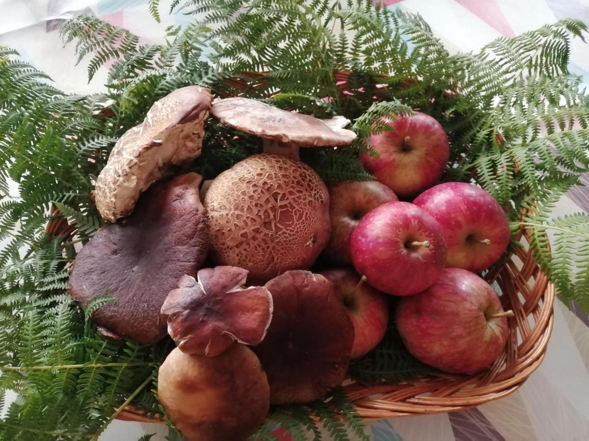 Argixti Vendégház Sunbilla Kültér fotó