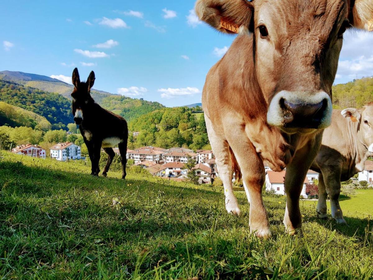 Argixti Vendégház Sunbilla Kültér fotó