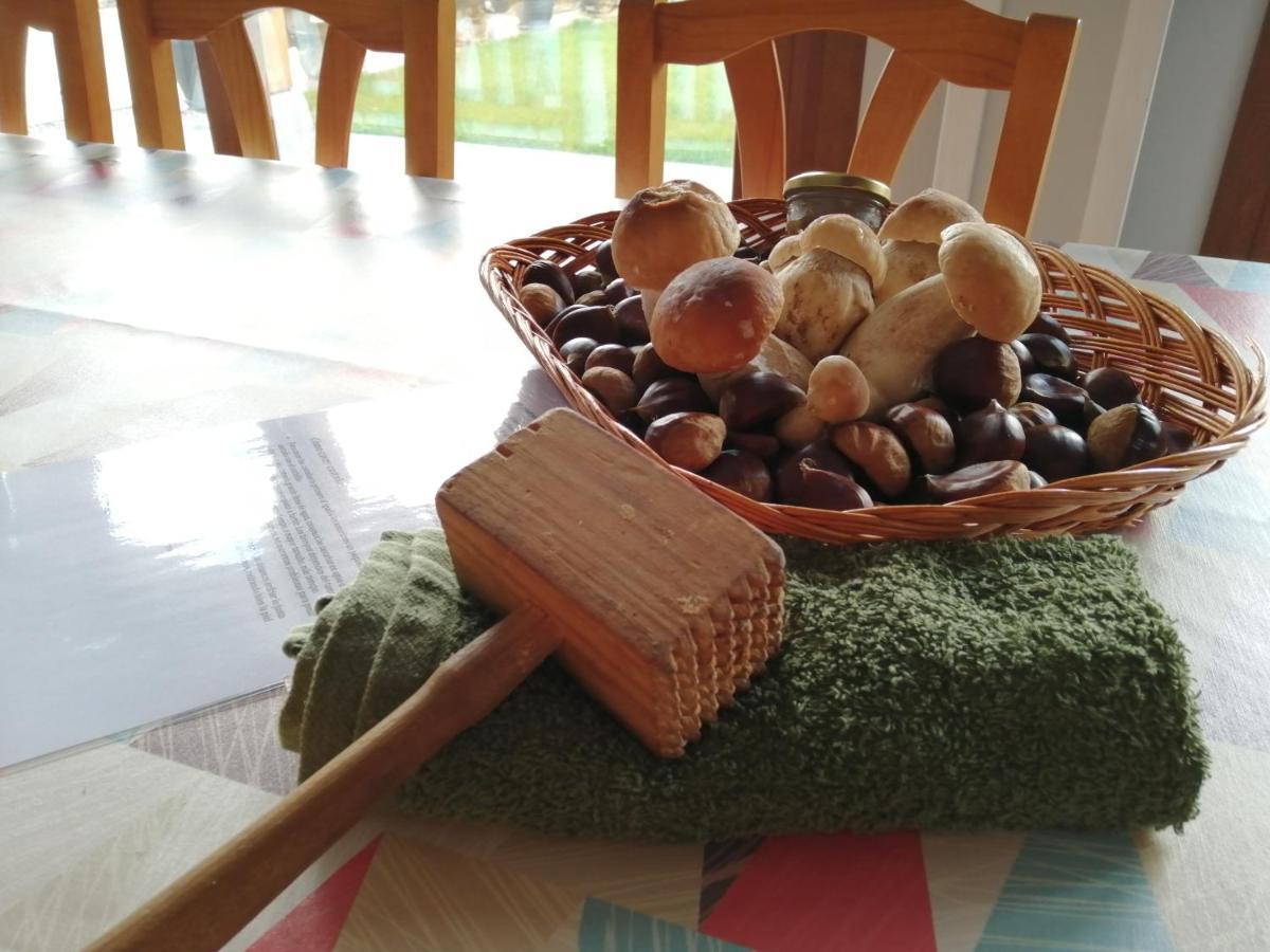 Argixti Vendégház Sunbilla Kültér fotó